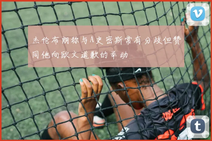 杰伦布朗称与A史密斯常有分歧但赞同他向欧文道歉的举动